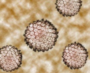 人乳头瘤病毒(HPV)